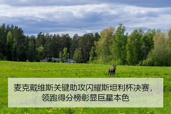 mai-ke-dai-wei-si-guan-jian-zhu-gong-shan-yao-si-tan-li-bei-jue-sai-ling-pao-de-fen-bang-zhang-xian-ju-xing-ben-se-2-157.jpg